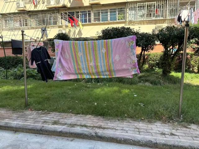 向心力提升居民幸福感k8凯发网站文明凝聚(图2)