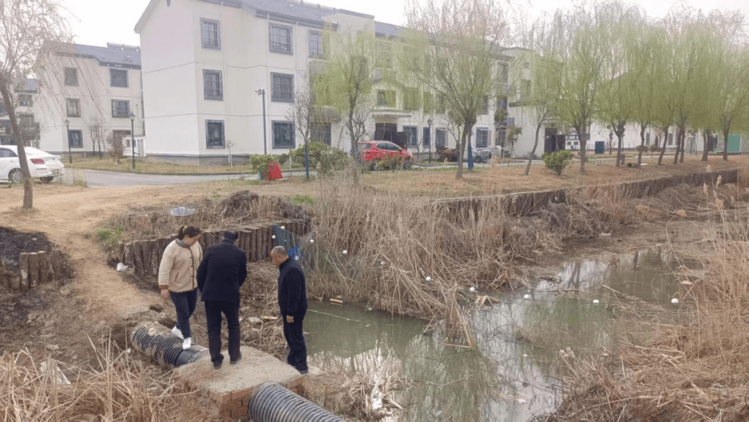 担重任巾帼绽芳华岳丽丽代表：柔肩(图7)